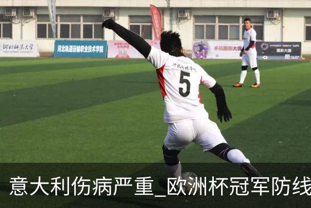 意大利伤病严重 欧洲杯冠军防线或全部无法上场